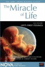 Watch The Miracle of Life 0123movies