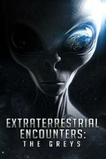 Watch Extraterrestrial Encounters: The Greys 0123movies