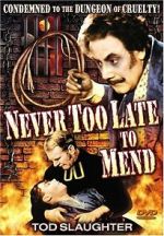 Watch It\'s Never Too Late to Mend 0123movies