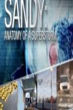 Watch Sandy Anatomy Of A Superstorm 0123movies