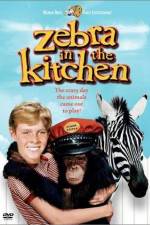 Watch Zebra in the Kitchen 0123movies