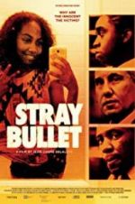 Watch Stray Bullet 0123movies