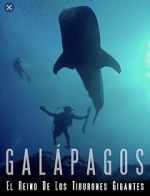 Watch Galapagos: Realm of Giant Sharks 0123movies