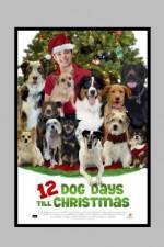 Watch 12 Dog Days of Christmas 0123movies