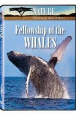 Watch Fellowship Of The Whales 0123movies
