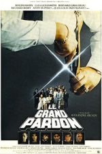 Watch The Big Pardon 0123movies