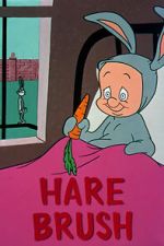 Watch Hare Brush (Short 1955) 0123movies