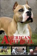 Watch American Pit Bull 0123movies