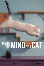 Watch Inside the Mind of a Cat 0123movies