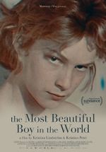 Watch The Most Beautiful Boy in the World 0123movies