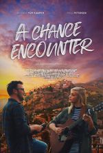 Watch A Chance Encounter 0123movies