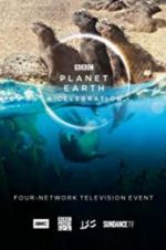Watch Planet Earth: A Celebration 0123movies