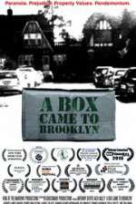 Watch A Box Came to Brooklyn 0123movies