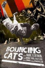 Watch Bouncing Cats 0123movies