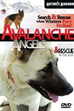 Watch Avalanche Angels 0123movies