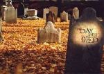 Watch The Day They Died 0123movies