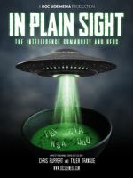 Watch In Plain Sight: The Intelligence Community and UFOs 0123movies