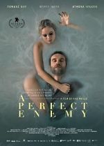 Watch A Perfect Enemy 0123movies