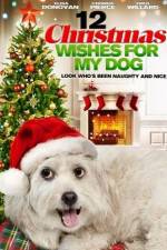 Watch 12 Christmas Wishes For My Dog 0123movies