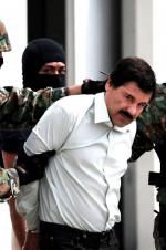 Watch The Rise and Fall of El Chapo 0123movies