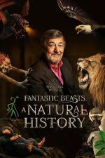 Watch Fantastic Beasts: A Natural History 0123movies