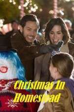 Watch Christmas in Homestead 0123movies