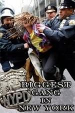 Watch NYPD: Biggest Gang in New York? 0123movies