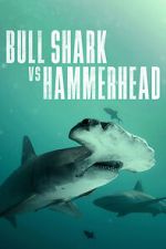 Watch Bull Shark vs Hammerhead 0123movies