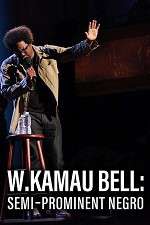 Watch W. Kamau Bell: Semi-Promenint Negro 0123movies