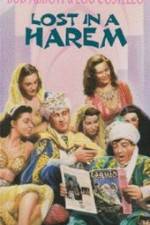 Watch Lost in a Harem 0123movies