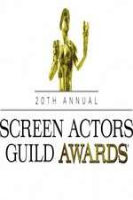 Watch The 20th Annual Screen Actors Guild Awards 0123movies