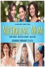 Watch Meddling Mom 0123movies