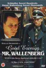 Watch Good Evening, Mr. Wallenberg 0123movies