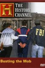 Watch The History Channel: Busting the Mob 0123movies