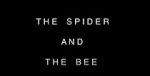 Watch The Spider and the Bee 0123movies