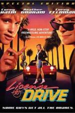 Watch License to Drive 0123movies