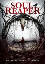 Watch Soul Reaper 0123movies