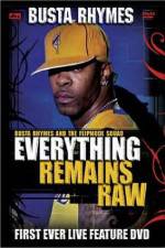 Watch Busta Rhymes Everything Remains Raw 0123movies