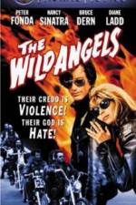 Watch The Wild Angels 0123movies