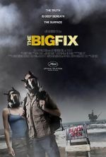 Watch The Big Fix 0123movies