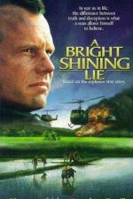 Watch A Bright Shining Lie 0123movies