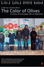 Watch The Color of Olives 0123movies