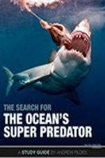 Watch The Search for the Oceans Super Predator 0123movies