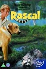 Watch Rascal 0123movies