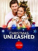 Watch A Doggone Christmas 0123movies