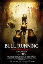 Watch Encierro 3D: Bull Running in Pamplona 0123movies