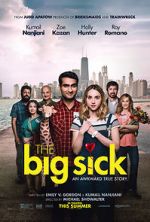 Watch The Big Sick 0123movies
