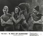 Watch A Ray of Sunshine: An Irresponsible Medley of Song and Dance 0123movies