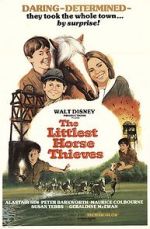 Watch The Littlest Horse Thieves 0123movies