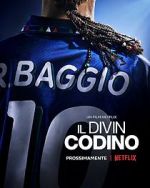 Watch Baggio: The Divine Ponytail 0123movies